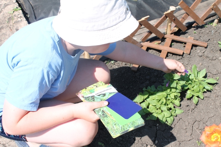 Как сохранить цветы зимой, как разжечь огонь,какие цветы самые полезные и многое другое в нашем занятии по академии умницы