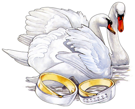 Я счастлива! Уже год я замужем за самым лучшим мужчиной на свете!