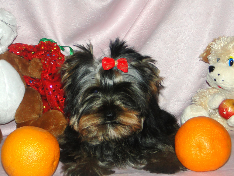 Еще один наш любимчик Барон