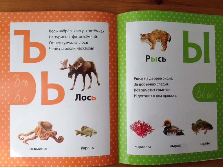 Азбука в стихах. Филиппова Анастасия, изд. Сибиллиана