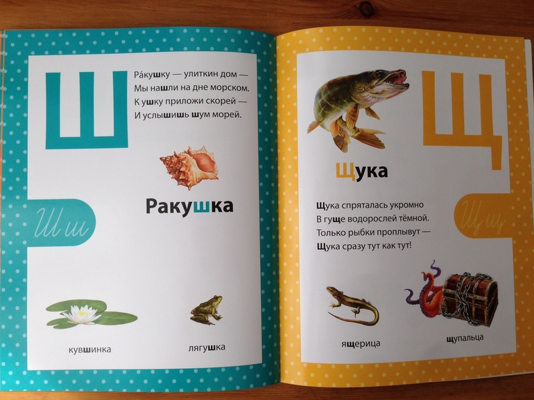 Азбука в стихах. Филиппова Анастасия, изд. Сибиллиана